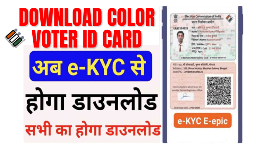 Download Color Voter ID Card